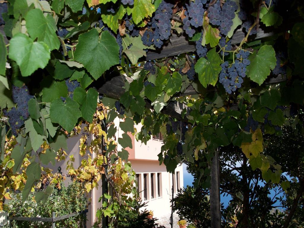 Villa Aglaini Áyios Dhimítrios Exteriér fotografie