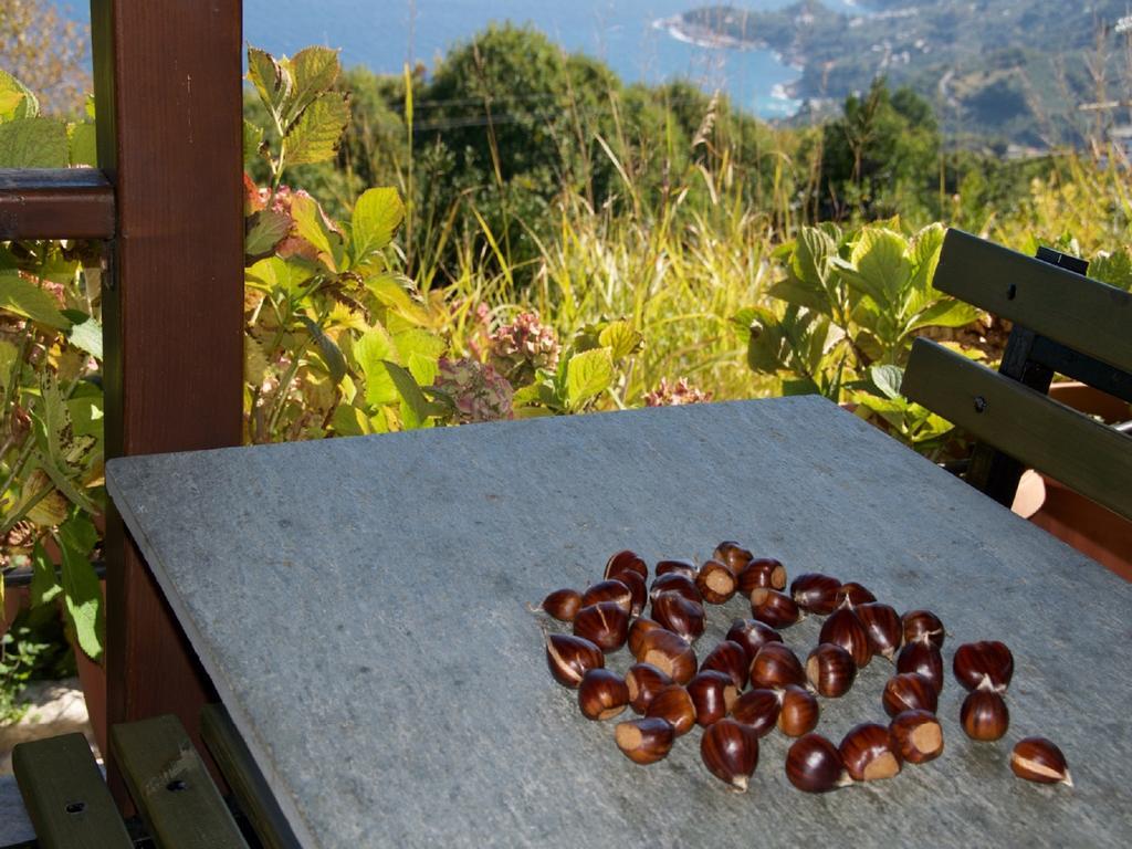 Villa Aglaini Áyios Dhimítrios Exteriér fotografie