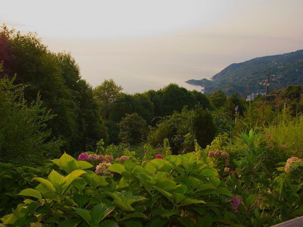 Villa Aglaini Áyios Dhimítrios Exteriér fotografie